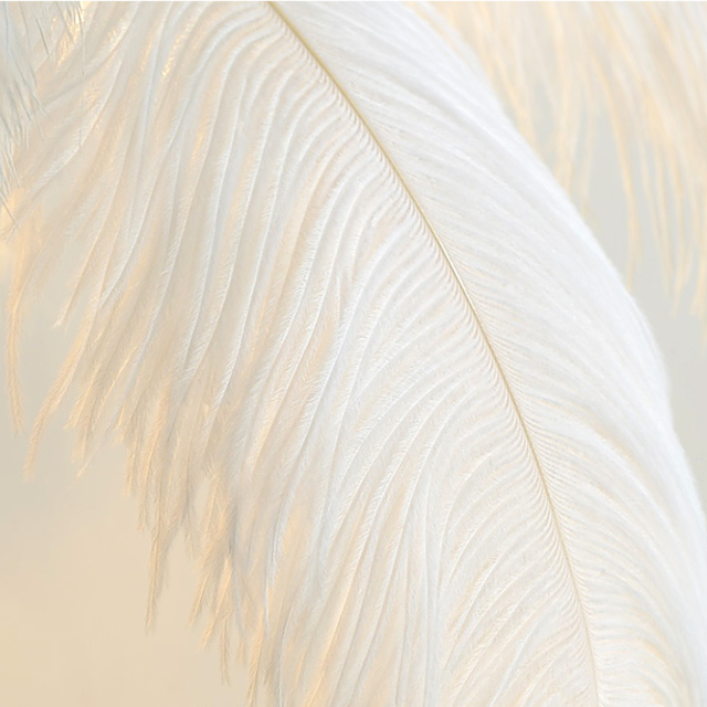 Ostrich Feather Floor Lamp: Graceful Lighting Fixture-ChandeliersDecor.com