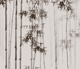 Bamboo Trees Wallpaper Murals: Transform Your Space-ChandeliersDecor.com