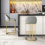 ChandeliersDecor.com-Bar Stools-Accent Bar Stools Minimalist Kitchen Counter Stool