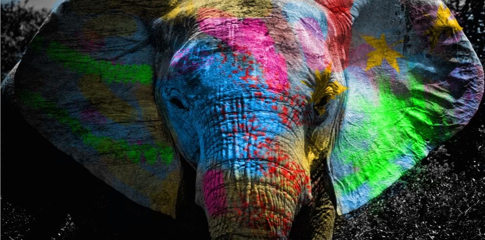 ChandeliersDecor.com-0-Colours: Elephant Poster - Enhance Your Décor