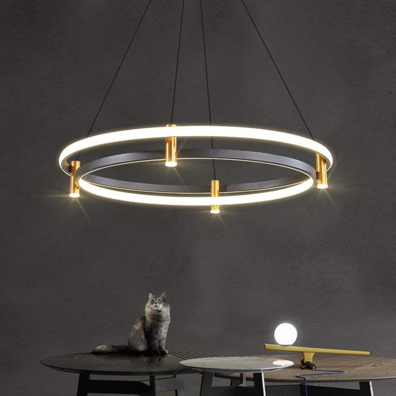 ChandeliersDecor.com-Chandeliers-Dual Ring LED Chandelier: Exquisite Lighting Fixture