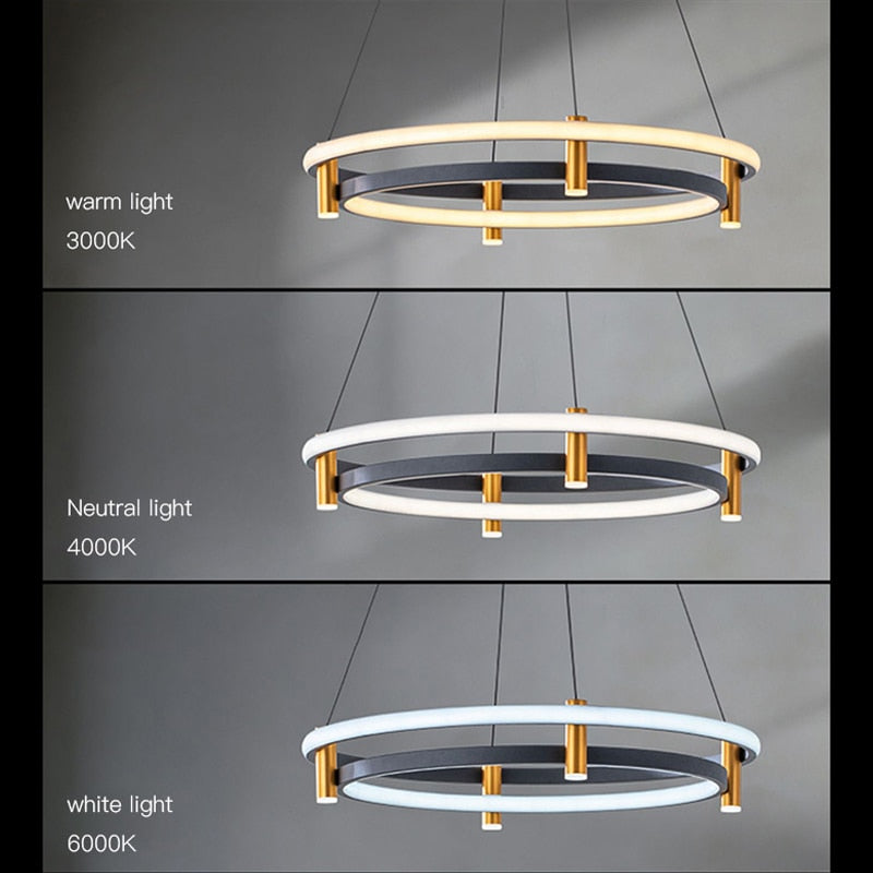 ChandeliersDecor.com-Chandeliers-Dual Ring LED Chandelier: Exquisite Lighting Fixture