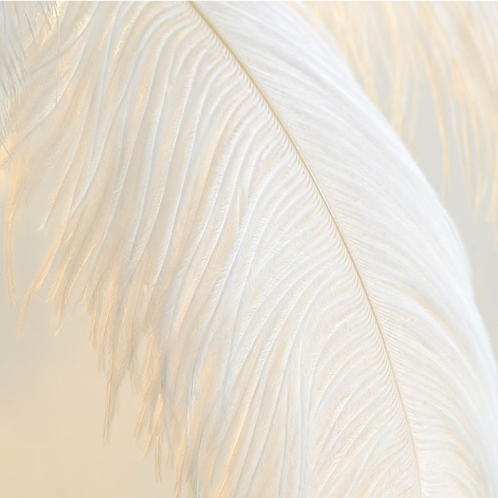 ChandeliersDecor.com-Floor Lamp-Ostrich Feather Floor Lamp: Graceful Lighting Fixture