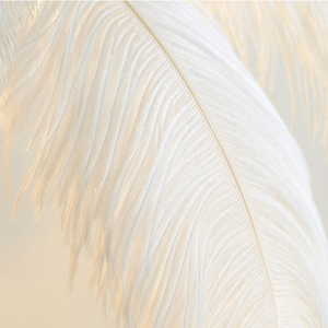 ChandeliersDecor.com-Floor Lamp-Ostrich Feather Floor Lamp: Graceful Lighting Fixture