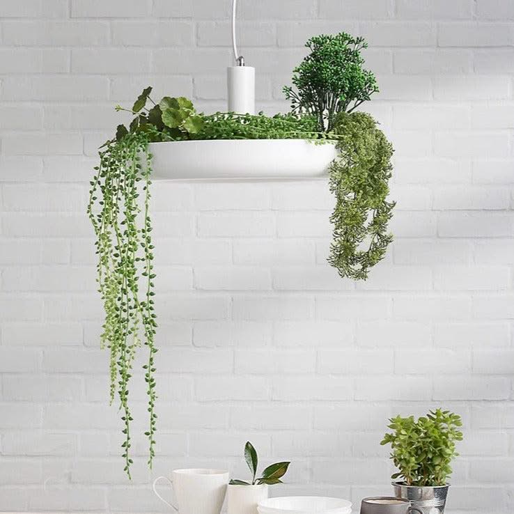 ChandeliersDecor.com-Ceiling Chandelier-Plant Pendant Hanging Lights - Illuminate Your Space