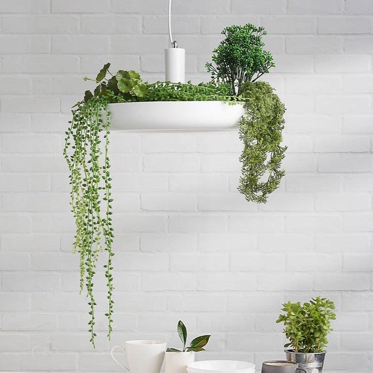 ChandeliersDecor.com-Ceiling Chandelier-Plant Pendant Hanging Lights - Illuminate Your Space