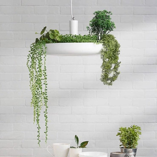 ChandeliersDecor.com-Ceiling Chandelier-Plant Pendant Hanging Lights - Illuminate Your Space