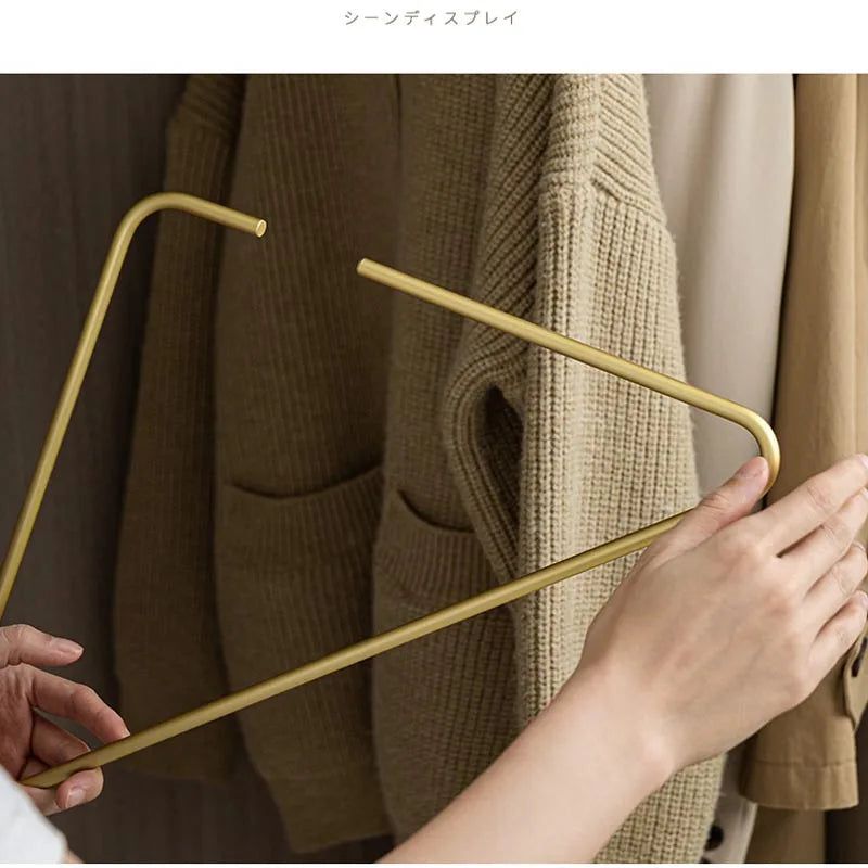 ChandeliersDecor.com-Drying Racks & Hangers-Triangle Clothes Hangers 5pcs Solid Metal