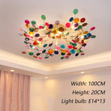 Designer Carnelian LED Ceiling Chandelier-ChandeliersDecor