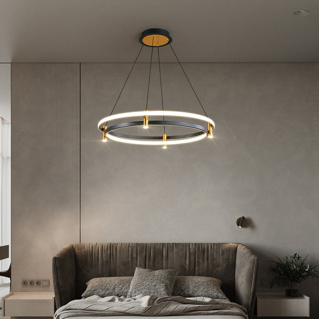 Dual Ring LED Chandelier Exquisite Lighting Fixture