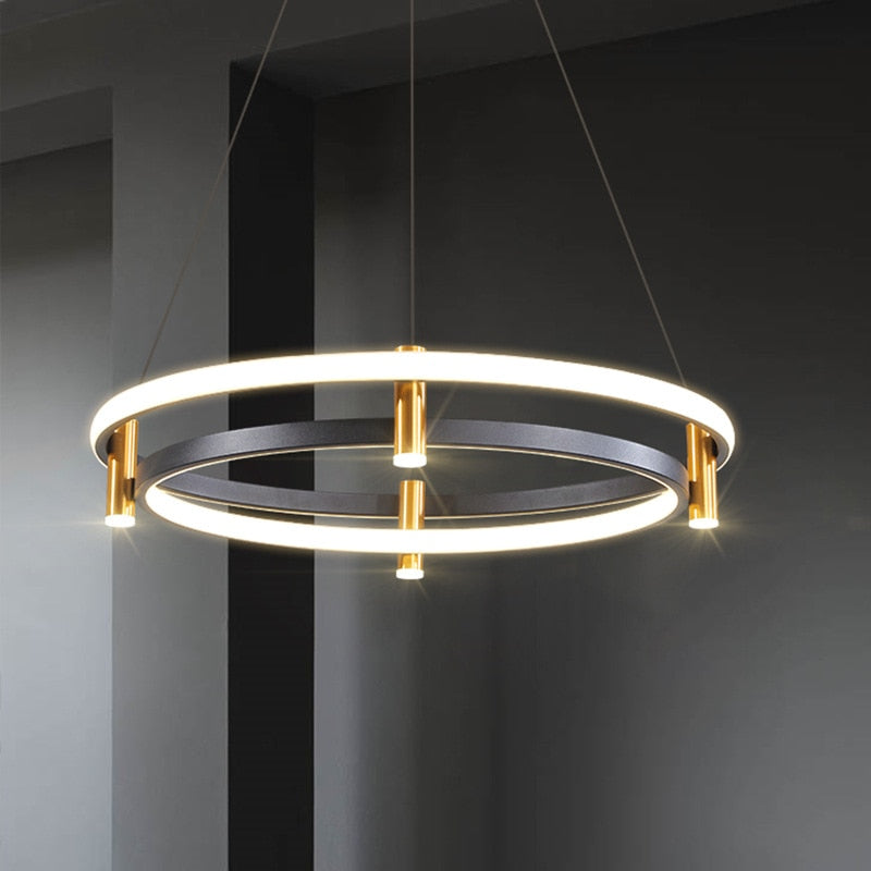 Dual Ring LED Chandelier: Exquisite Lighting Fixture-ChandeliersDecor