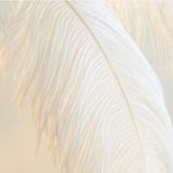 Ostrich Feather Floor Lamp: Graceful Lighting Fixture-ChandeliersDecor