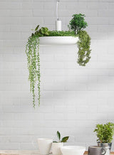 Plant Pendant Hanging Lights - Illuminate Your Space-ChandeliersDecor