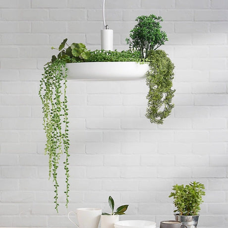 Plant Pendant Hanging Lights - Illuminate Your Space-ChandeliersDecor