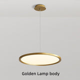 Ring Hanging Light: Illuminate Your Space with Style-ChandeliersDecor