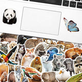 Zoo Animals Stickers: High-Quality Pack | Sticker Collection-ChandeliersDecor