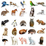 Zoo Animals Stickers: High-Quality Pack | Sticker Collection-ChandeliersDecor